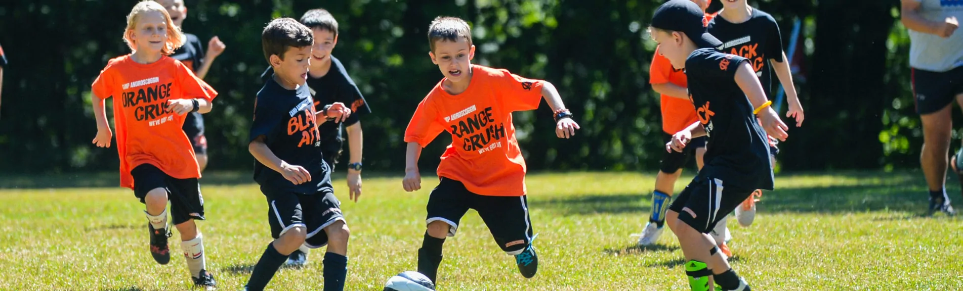 Resultados de búsqueda