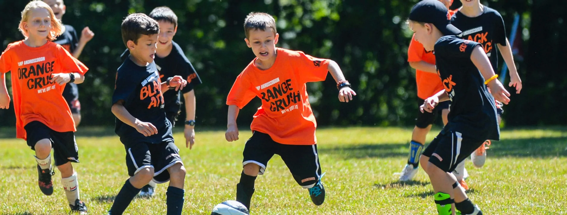 Campamentos y cursos de idiomas en el extranjero